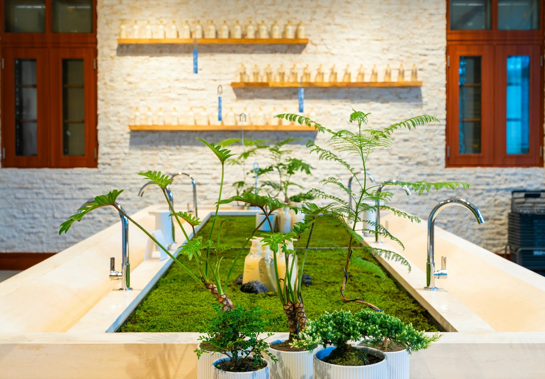 Green planting integrated into a refined interior