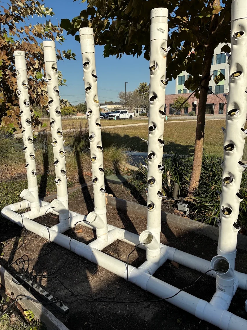 Early Hydra multi-tower hydroponic prototype